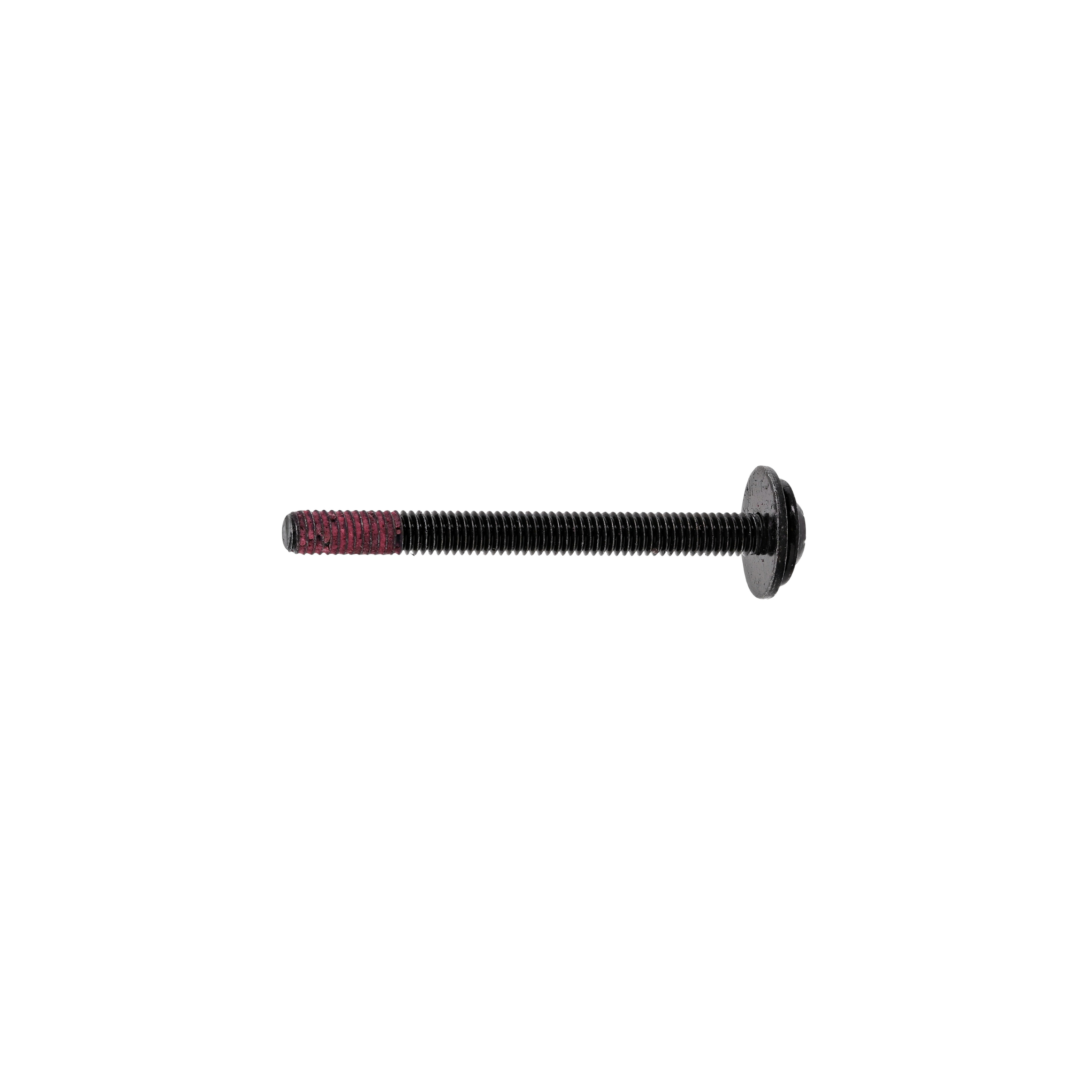 5612311448 Electrolux, Westinghouse Oven Door Screw